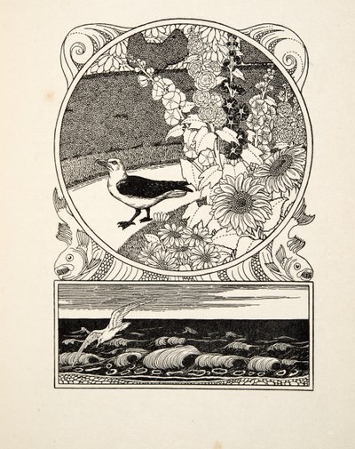 The Tame Seagull, fra A Hundred Anecdotes of Animals, pub. 1924 (gravering) av Percy J. Billingshurst