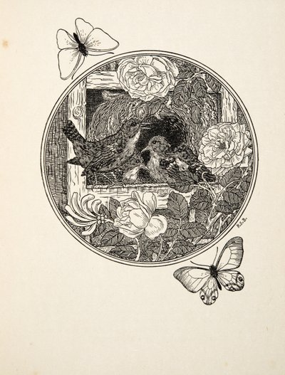 Wrens Learning to Sing, fra A Hundred Anecdotes of Animals, pub. 1924 av Percy J. Billingshurst