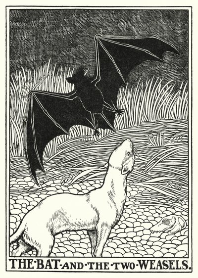 Fables of La Fontaine: Flaggermusen og de to veslene (litho) av Percy James Billinghurst