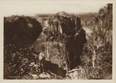 The Gorge from the Hotel, Victoria Falls (s/hv-bilde) av Percy M. Clark
