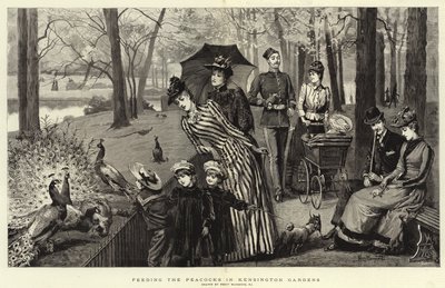 Mate påfuglene i Kensington Gardens (gravering) av Percy Macquoid