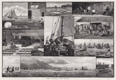 Fiskeindustri, østersmudring (gravering) av Percy Robert Craft