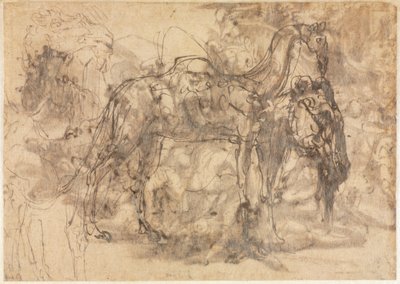Skisser av dyr verso, ca. 154547. av Perino del Vaga