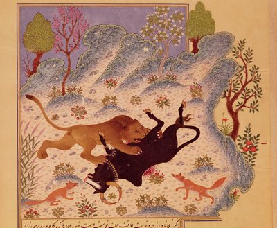En løve som angriper og dreper en okse, fra et Kabila wa Dimna-manuskript (gouache på papir) av Persian School