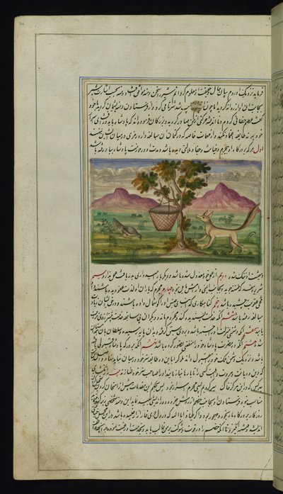 En rev og en tromme fra Lights of Canopus av Persian School