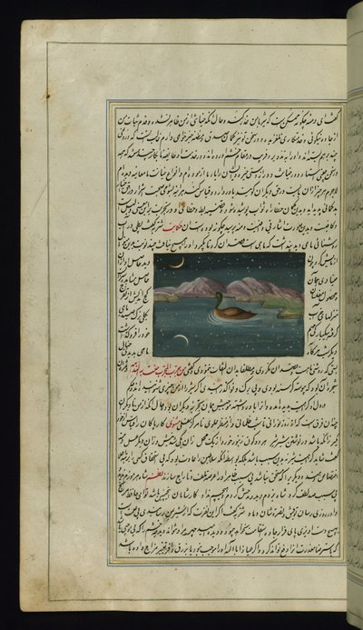 En gås og en refleksjon av månen i vannet fra Lights of Canopus av Persian School