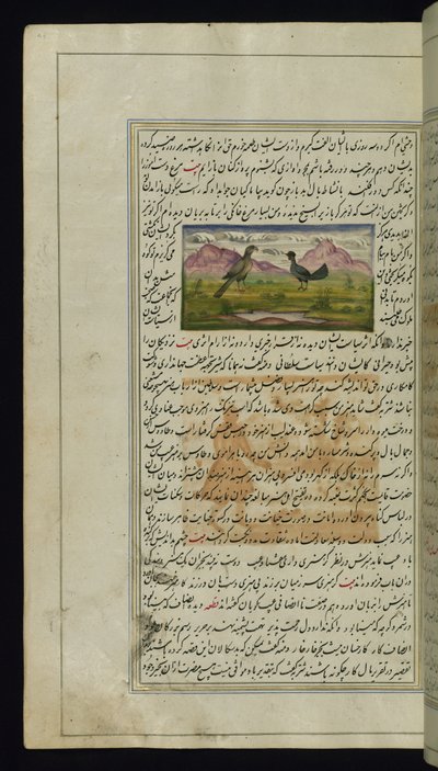 En hauk og en høne fra Lights of Canopus av Persian School