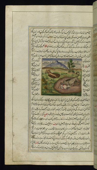 En sjakal sluker en hare fra Lights of Canopus, 1847 av Persian School
