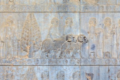 Basrelieffer ved veggene til Apadana-palasset og trappen, Persepolis, Iran (sandstein) av Persian School