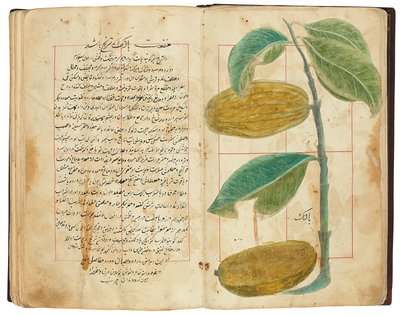 Hassan Bin Baqir Bin Jarrah: Ghalzar Al-Raihain, Qajar Iran av Persian School