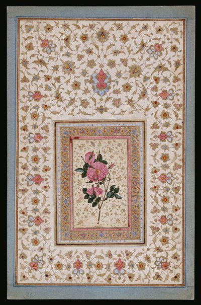 Studie av en rose av Persian School