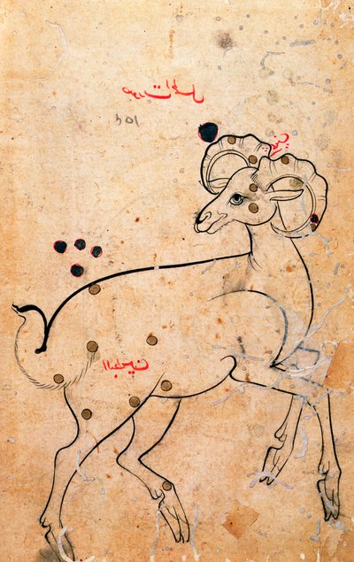 f.154a Væren, væren, persisk, fra Isfahan eller Shiraz, ca. 1600 (blekk på papir) av Persian School