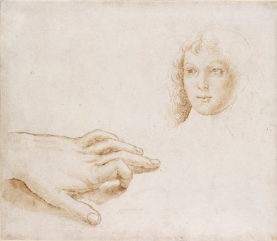 Studier av et hode og en hånd, slutten av 1400-begynnelsen av 1500-tallet av Perugino
