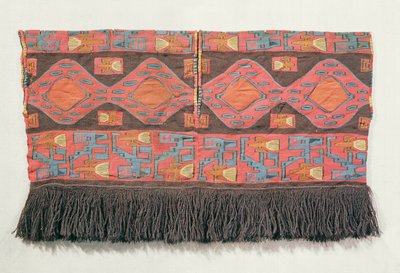 Skjorte av interlock ullteppe, Nazca Culture (tekstil) av Peruvian School