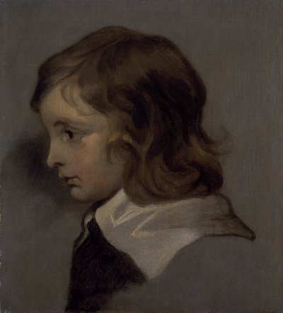 Hodet til en ung gutt (olje på lerret) av Peter (follower of) Lely