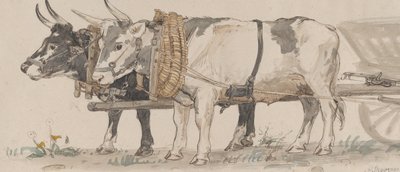 To okser som trekker en vogn, 1874. av Peter Christian Thamsen Skovgaard