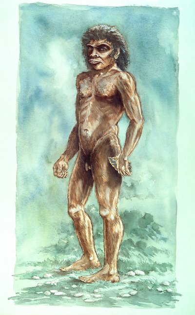 Boxgrove Man, forhistorisk, 1990-2010 av Peter Dunn