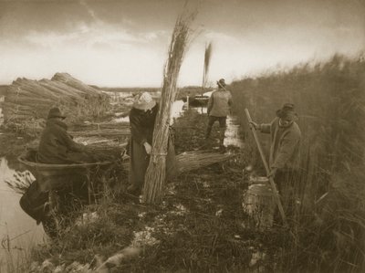 Under Reed Harvest, Life and Landscape on the Norfolk Broads, ca. 1886 av Peter Emerson und Thomas Goodall