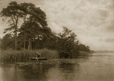 The Haunt of the Pike, ca. 1886 av Peter Emerson und Thomas Goodall