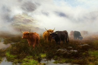 Myrland og tåke av Peter Graham