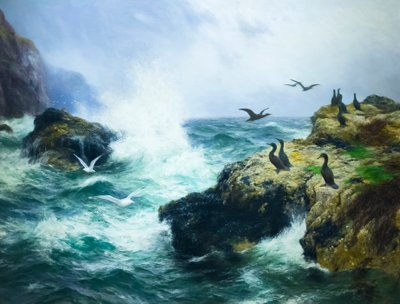 Rocky shore (olje på lerret) av Peter Graham