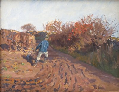 Plogmannen svinger av Peter Hansen