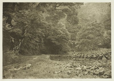  av Peter Henry Emerson