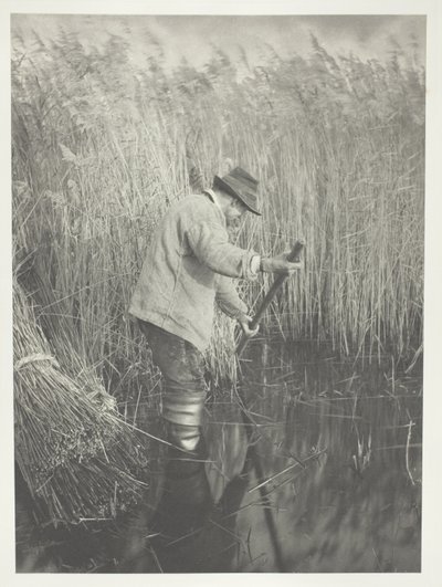 av Peter Henry Emerson