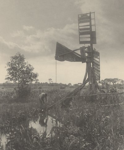 En ødelagt vannmølle av Peter Henry Emerson