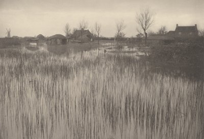 En Rushy Shore av Peter Henry Emerson