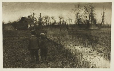 A Toad in the Path: Tidlig vår i Norfolk av Peter Henry Emerson