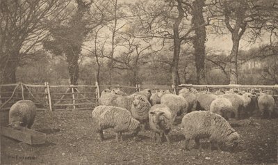  av Peter Henry Emerson