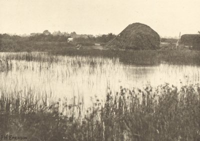  av Peter Henry Emerson