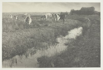  av Peter Henry Emerson