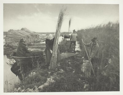  av Peter Henry Emerson