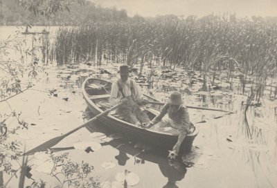 Å samle vannliljer av Peter Henry Emerson