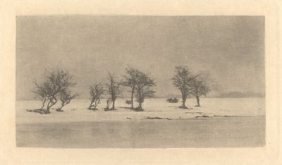 knudrete tornetrær av Peter Henry Emerson
