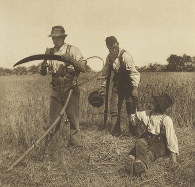In the Barley-Harvest, Suffolk, 1888 (fotogravyr) av Peter Henry Emerson
