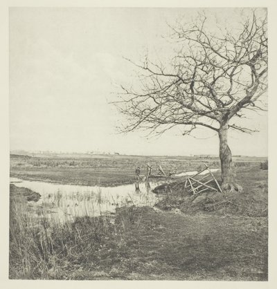 Leafless March (Suffolk) av Peter Henry Emerson