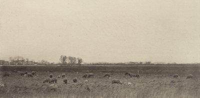 Myrer ved Nordsjøen, 1890-1891, trykt 1893. av Peter Henry Emerson