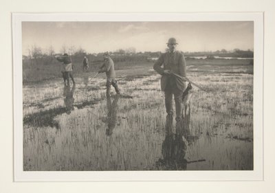 Menn på jakt i en myr av Peter Henry Emerson