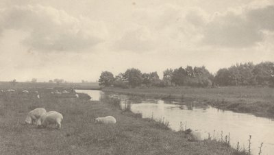 Ved elven Bure, 1886. av Peter Henry Emerson
