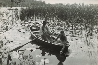 Ett av førti platinatrykk fra "Life and Landscape on the Norfolk Broads" av Peter Henry Emerson
