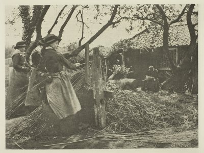 Osier-Peeling (Norfolk) av Peter Henry Emerson