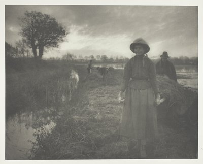 Poling av myrhø av Peter Henry Emerson