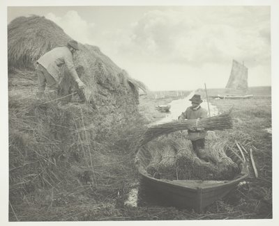 Ricking the Reed av Peter Henry Emerson