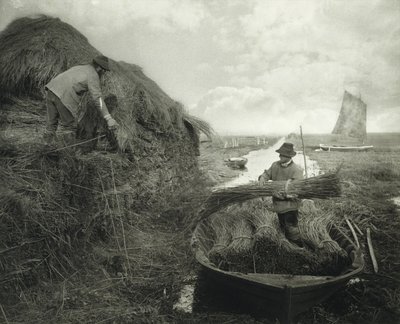 Ricking the Reed, ca. 1885 (platinatrykk) av Peter Henry Emerson
