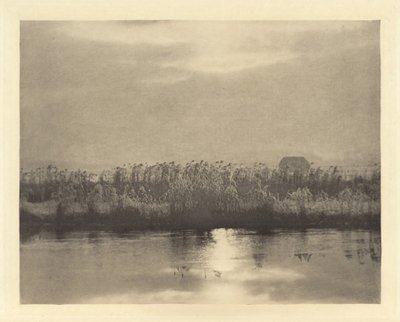 Rime krystaller av Peter Henry Emerson