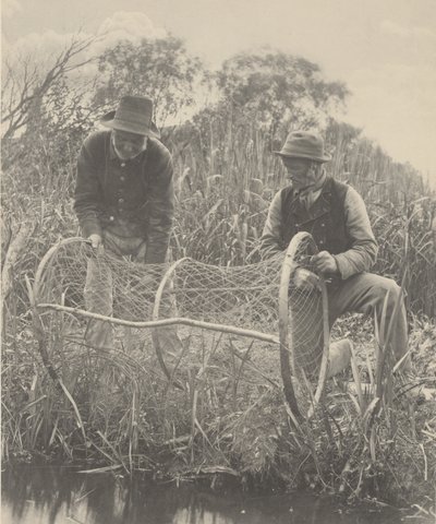 Sette opp buenettet av Peter Henry Emerson