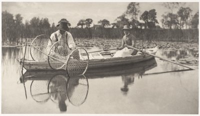 Setting av buenett av Peter Henry Emerson